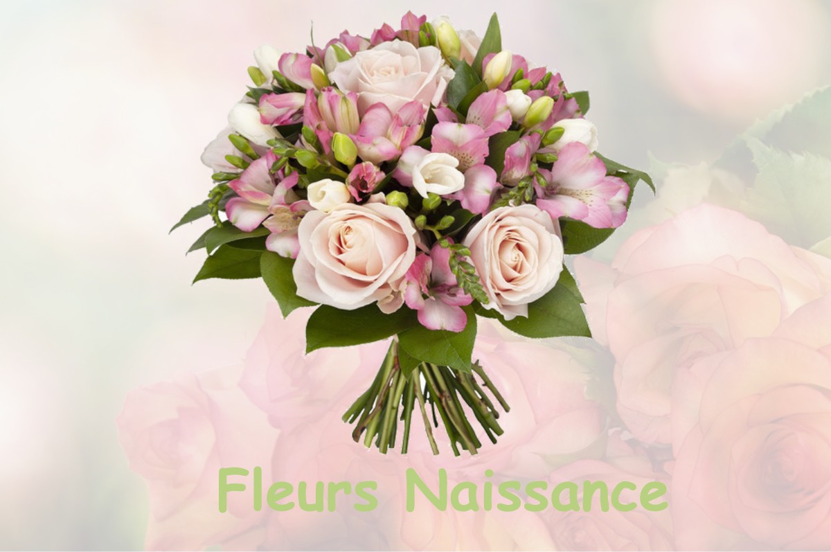 fleurs naissance BRANDEVILLE