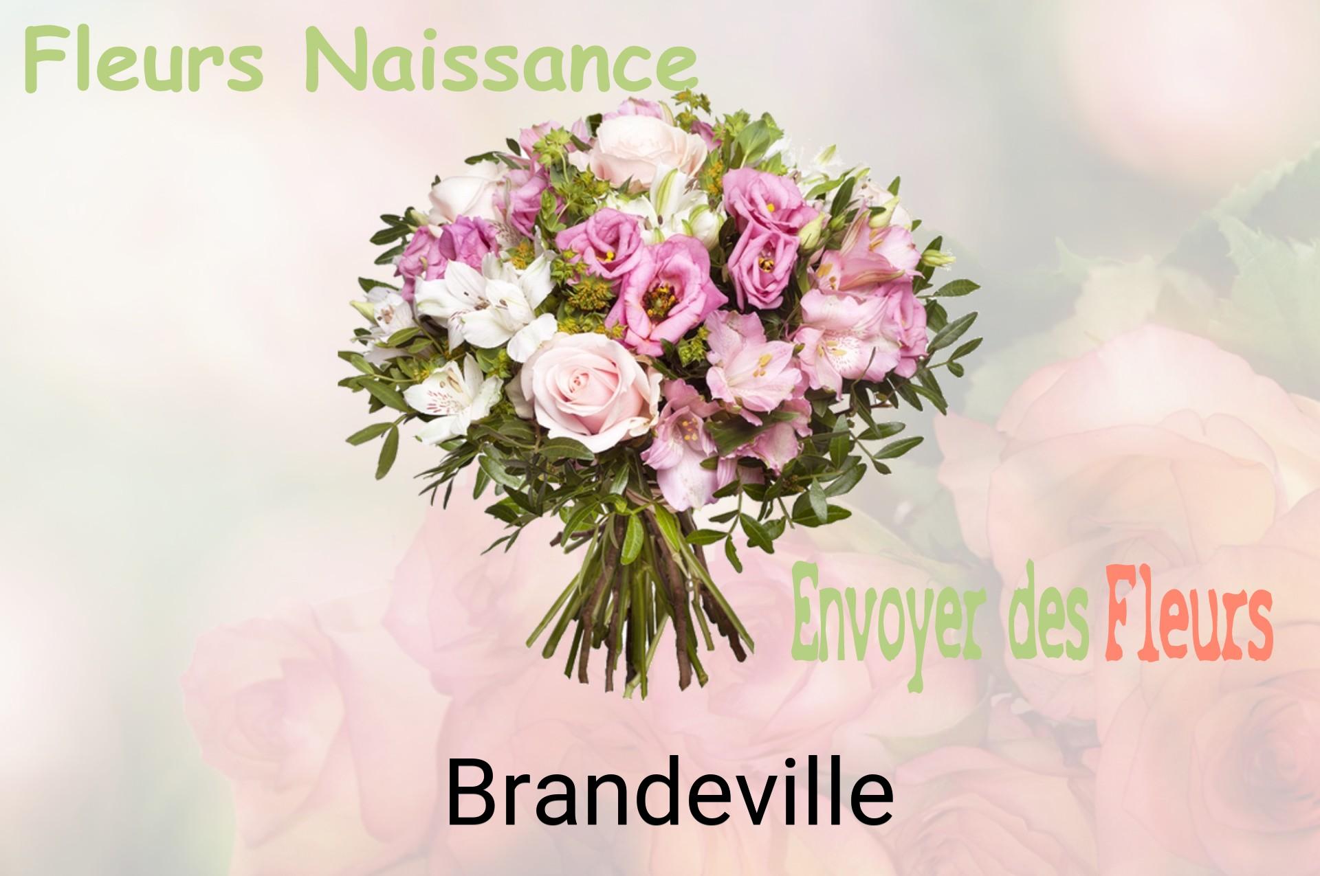 Bouquet de fleurs de naissance livré à Brandeville