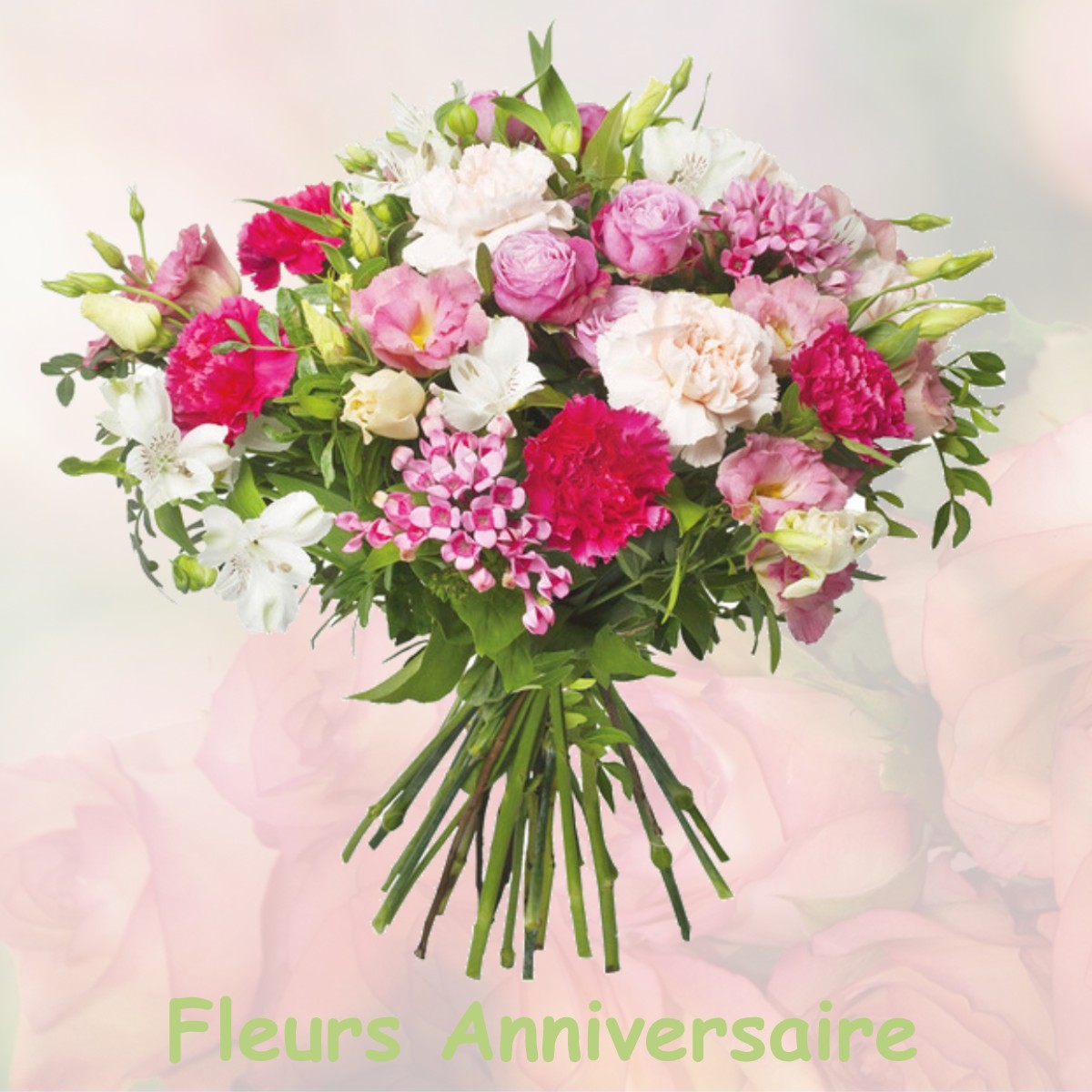 fleurs anniversaire BRANDEVILLE