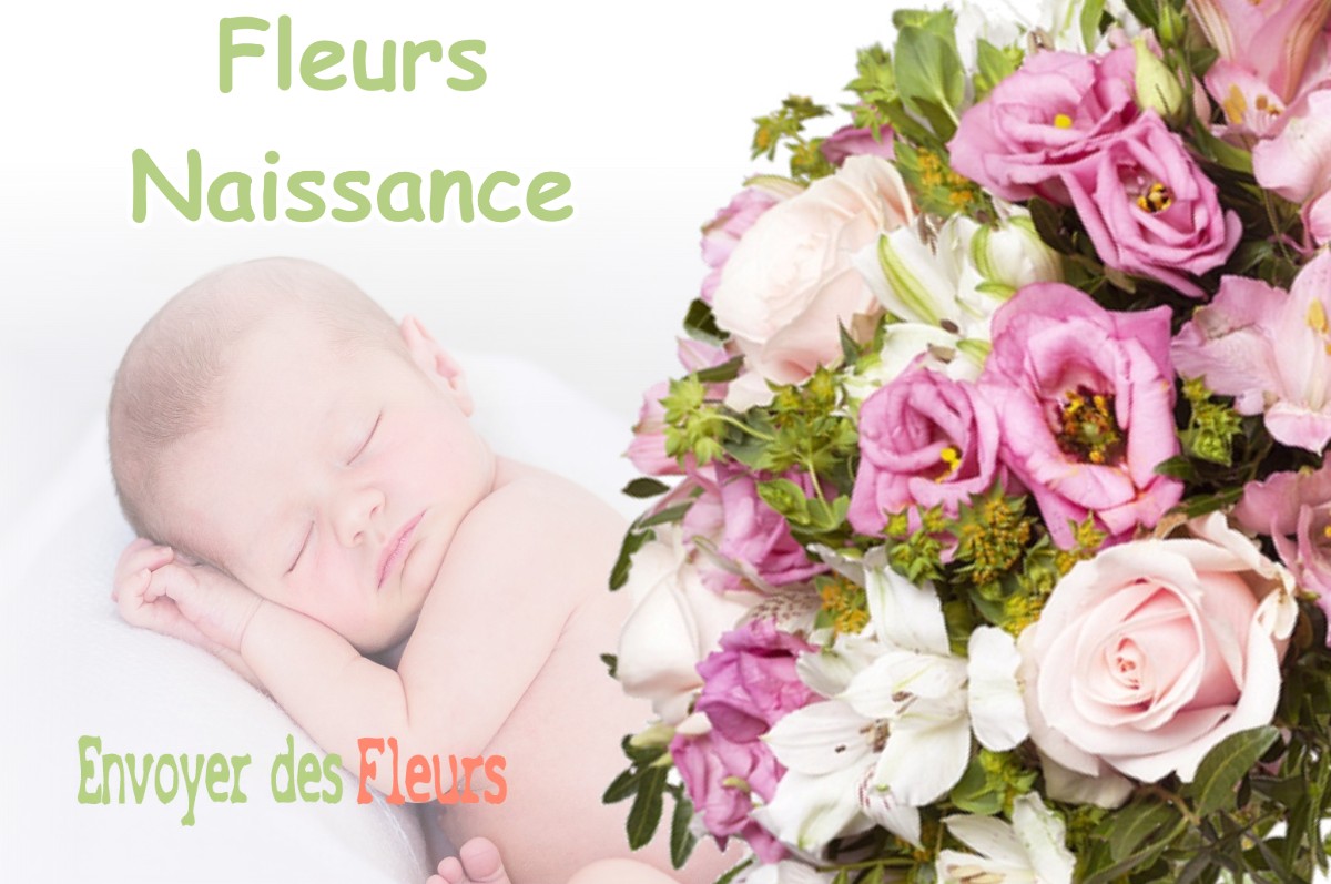 lIVRAISON FLEURS NAISSANCE à BRANDEVILLE